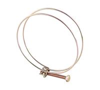 10pcs Double Wire Hose Clips Adjustable Hose Clamps Hoop Plumbing Fastener(100mm（94-100）)