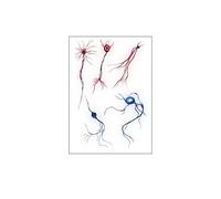 10pcs European and American Dark Simulation Vascular Cell Tattoos Simple Line Waterproof Sweat Disposable Tattoos W×L(105mm×148mm)(F058)