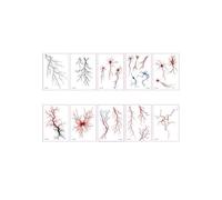 10pcs European and American Dark Simulation Vascular Cell Tattoos Simple Line Waterproof Sweat Disposable Tattoos W×L(105mm×148mm)(Mixed loading)