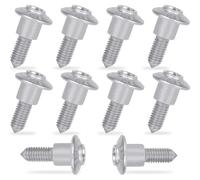 10PCS Fairing Bolt Kit for BMW M5*14/14.5/16/ 17.5/20 Motorbike Fairing Screws Universal Fits for S1000R S1000RR S1000XR R1200GS LC ADV R1250GS R1200RT R1250 F750GS F850GS F900R (Chrome, M5 x 17.5)