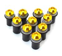 10PCS Fairing Wind Screen Screw Bolt Kit Windshield Mounting Nut Bolt For Ninja 250 300 650 H2R 250R For ZX6R ER6N(Gold)