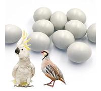 10Pcs Fake Bird Eggs,Stop Egg Laying for Cockatiels, Green Cheeks, Lovebird, Ringneck Dove, Lorikeet