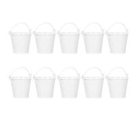 10PCS Flower Pot Mini Succulent Plant Pot Small Metal Bucket for Indoor Outdoor Decoration(white)