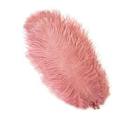 10pcs Fluffy Ostrich Feather for Craft DIY Needlework Natural Feathers Making Dream Catcher Wedding Plumes Decoration 15-30cm-dark Leather pink-15-20cm 6-8inch