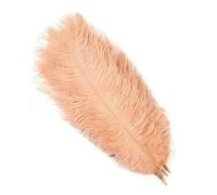 10pcs Fluffy Ostrich Feather for Craft DIY Needlework Natural Feathers Making Dream Catcher Wedding Plumes Decoration 15-30cm-Dark Champagne-20-25cm 8-10inch