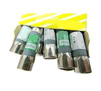 10PCS FNM-6/10 Dual Fuse 250V 6/10A