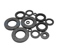 10Pcs Framework Oil Seal ID 15/15.5/16/16.4mm Nitrile Butadiene Rubber Gasket Ring Cover Double Lip with Spring(15x23x4mm)