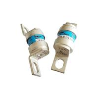 10PCS Fuse CR2LS-10/UL CR2LS-20/UL CR2LS-30/UL CR2LS-50/UL CR2LS-75/UL CR2LS-100/UL 10A 20A 30A 50A 75A 100A(CR2LS-30-UL 30A)