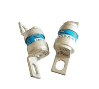 10PCS Fuse CR2LS-10/UL CR2LS-20/UL CR2LS-30/UL CR2LS-50/UL CR2LS-75/UL CR2LS-100/UL 10A 20A 30A 50A 75A 100A(CR2LS-50-UL 50A)