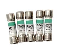 10PCS Fuse FNM-1/2/3/4/5/6/7/8/10/12/15/20/25/30 1A 2A 3A 4A 5A 6A 7A 8A 10A 12A 15A 20A 25A 30A 250V(FNM-1 1A)