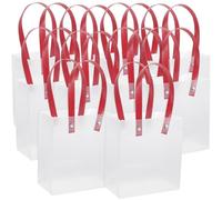 10pcs Gift Bags with Handle, Pp Frosted Treat Bags for Birthday