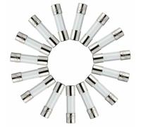 10PCS Glass Fast Quick Blow Fuse 6x30mm 0.5 1 2 3 4 5 6 7 8 10 15 20 25 30Amp 250V Various Amp(1A)