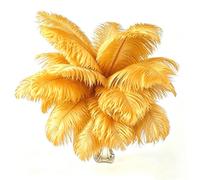 10pcs Gold Ostrich Feathers for Crafting 10-12(25-30cm) Natural Bulk Feathers for Home Wedding Party Vase and Day Decoration