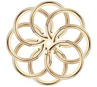 10pcs Golden Alloy Spring Clip Circle Key Ring for DIY Crafts