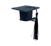 10pcs Graduation Hats Graduation Hat Hair Clip - Doctoral Hat,Graduation Hat Hairpins, 10pcs Remi Accessories