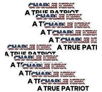 10pcs Justice for Charlie Kirk Turning Point USA Freedom Car Magnet Auto Truck Fridge Magnetic Decal Bumper Magnet,Ideal for Patriots & Free Speech Advocates (A 10pc)
