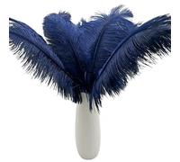 10pcs Large Navy Blue Ostrich Feathers 16-18 inch Fluffy Feather for Crafts Home Party Decoration Wedding Centerpieces Clothes Vase Decor