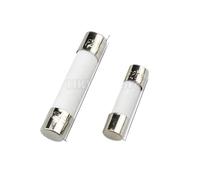 10pcs/lot 5 * 20mm 6 * 30mm Fast Blow Tube Fuses 250V AMP Fuse Ceramic Fusible(8A,5X20mm)