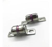 10PCS/LOT Ceramic Fuse RGS11 10A 16A 20A 25A 30A 32A 35A 40A 50A 63A 75A 80A 100A 125A 150A 160A 250V Protected circuits (Size : 125A)
