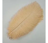 10Pcs/Lot Colored Ostrich Feathers for Crafts Black Mint Pink Red Gold Feather Decor DIY Holiday Carnival Wedding Decoration-Champagne-15-20cm 6-8inch