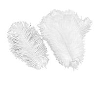 10Pcs/Lot Colored Ostrich Feathers for Crafts Table Centerpieces Wedding Decoration Handicraft Accessories Carnival Decor(30 White,25-30cm 10-12inch)