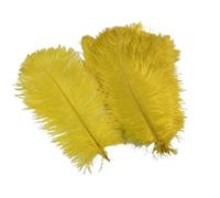 10Pcs/Lot Colored Ostrich Feathers for Crafts Table Centerpieces Wedding Decoration Handicraft Accessories Carnival Decor(21 Yellow,25-30cm 10-12inch)