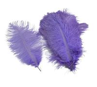 10Pcs/Lot Colored Ostrich Feathers for Crafts Table Centerpieces Wedding Decoration Handicraft Accessories Carnival Decor(15 Light purple,25-30cm 10-12inch)