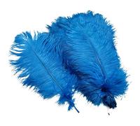 10Pcs/Lot Colored Ostrich Feathers for Crafts Table Centerpieces Wedding Decoration Handicraft Accessories Carnival Decor(04 Lake blue,25-30cm 10-12inch)