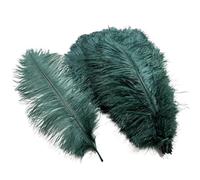 10Pcs/Lot Colored Ostrich Feathers for Crafts Table Centerpieces Wedding Decoration Handicraft Accessories Carnival Decor(11 Dark green,25-30cm 10-12inch)
