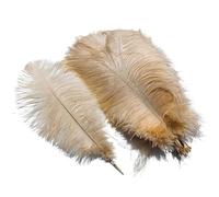 10Pcs/Lot Colored Ostrich Feathers for Crafts Table Centerpieces Wedding Decoration Handicraft Accessories Carnival Decor(10 Champagne,25-30cm 10-12inch)