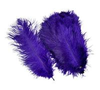 10Pcs/Lot Colored Ostrich Feathers for Crafts Table Centerpieces Wedding Decoration Handicraft Accessories Carnival Decor(17 Purple,25-30cm 10-12inch)