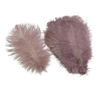 10Pcs/Lot Colored Ostrich Feathers for Crafts Table Centerpieces Wedding Decoration Handicraft Accessories Carnival Decor(24 Leather pink,25-30cm 10-12inch)