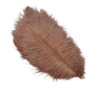 10Pcs/Lot Colored Ostrich Feathers for Crafts Wedding Decoration Handicraft Accessories Table Centerpieces Carnival Plumas Decor(Brown,25-30cm 10-12inch)