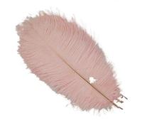 10Pcs/Lot Colored Ostrich Feathers for Crafts Wedding Decoration Handicraft Accessories Table Centerpieces Carnival Plumas Decor(Light pink,25-30cm 10-12inch)