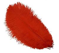 10Pcs/Lot Colored Ostrich Feathers for Crafts Wedding Decoration Handicraft Accessories Table Centerpieces Carnival Plumas Decor(Red,25-30cm 10-12inch)