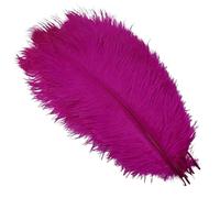 10Pcs/Lot Colored Ostrich Feathers for Crafts Wedding Decoration Handicraft Accessories Table Centerpieces Carnival Plumas Decor(Rose,25-30cm 10-12inch)