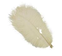 10Pcs/Lot Colored Ostrich Feathers for Crafts Wedding Decoration Handicraft Accessories Table Centerpieces Carnival Plumas Decor(Beige,25-30cm 10-12inch)