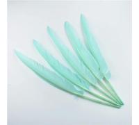 10Pcs/Lot Feathers Duck Pointer Wing Goose Feather for Crafts 25-30cm Long White Black Accessories Carnival Decoration-Mint Green