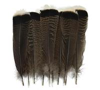 10Pcs/Lot Natural Eagle Birds Feather Decor Long Big Turkey Feathers for Crafts Plumas Carnival Accessories Wedding Decoration