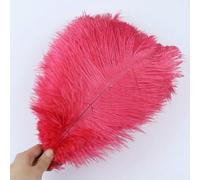 10pcs/lot Natural White Ostrich Feathers 15-35cm Colorful Ostrich Plumes Party Wedding Home Decoration Table Centerpiece Crafts-Watermelon red-20-25cm