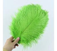 10pcs/lot Natural White Ostrich Feathers 15-35cm Colorful Ostrich Plumes Party Wedding Home Decoration Table Centerpiece Crafts- green-20-25cm