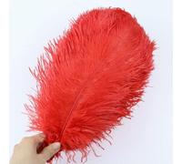 10pcs/lot Natural White Ostrich Feathers 15-35cm Colorful Ostrich Plumes Party Wedding Home Decoration Table Centerpiece Crafts-Red-15-20cm