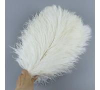 10pcs/lot Natural White Ostrich Feathers 15-35cm Colorful Ostrich Plumes Party Wedding Home Decoration Table Centerpiece Crafts-White-20-25cm