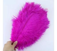10pcs/lot Natural White Ostrich Feathers 15-35cm Colorful Ostrich Plumes Party Wedding Home Decoration Table Centerpiece Crafts-Rose-20-25cm