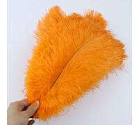 10pcs/lot Natural White Ostrich Feathers 15-35cm Colorful Ostrich Plumes Party Wedding Home Decoration Table Centerpiece Crafts-Orange-15-20cm