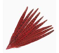 10Pcs/Lot Pheasant Tail Feathers for Crafts Colored Feather for Hair Decoration Table Centerpieces Plumes Handicraft Accessories,Red