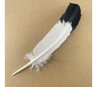 10Pcs/Lot Real Natural Eagle Feathers for Decoration Crafts Turkey Pheasant Bird Owl Feather Decor Plumes Accessories Carnival-25-30cm 10-12Inch,10Pcs