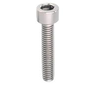 10pcs M1.6 M2 .5 M3 M4 M5 M6 M8 M10- M16 TA2 Pure Titanium Hexagon Socket Screws Gr2 Alloy Bolts Cylindrical Head(4mm,M2-10pcs)