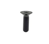 10pcs M4 8/10/12/15/20/25/30 TA2 Titanium With Gloden Rainbow Colour Allen Hex Head Screw(Black,20mm/M4 5PCS)