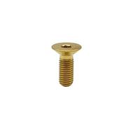10pcs M4 8/10/12/15/20/25/30 TA2 Titanium With Gloden Rainbow Colour Allen Hex Head Screw(Gloden,20mm/M4 5PCS)